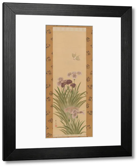 Framed Print : Irises and Moth, ca. 1850. Creator: Suzuki Kiitsu Framed Print : Irises and Moth, ca. 1850. Creator: Suzuki Kiitsu
