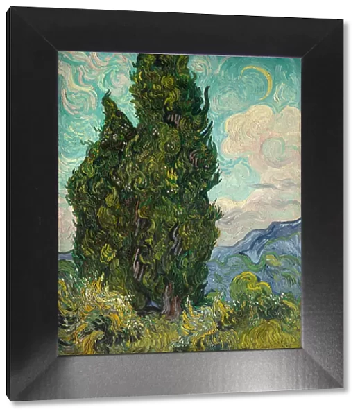 Cypresses, 1889. Creator: Vincent van Gogh