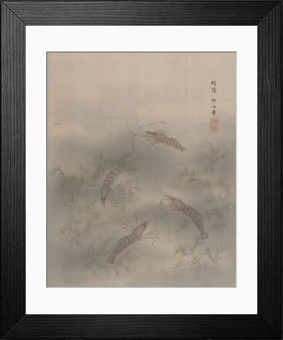 Framed Print : Shrimp (Ebi), ca. 1890-92. Creator: Seki Shuko Framed Print : Shrimp (Ebi), ca. 1890-92. Creator: Seki Shuko