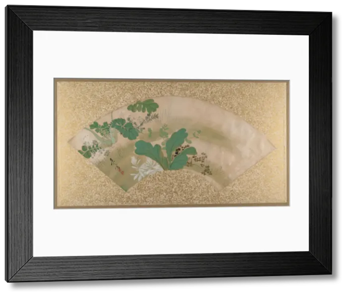 Framed Print : Various Plants and Grass, late 19th century. Creator: Shibata Zeshin Framed Print : Various Plants and Grass, late 19th century. Creator: Shibata Zeshin