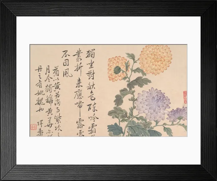 Framed Print : Chrysanthemums. Creator: Unknown Framed Print : Chrysanthemums. Creator: Unknown
