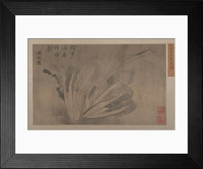 Framed Print : Cabbage and Insects. Creator: Xu Daoguang Framed Print : Cabbage and Insects. Creator: Xu Daoguang