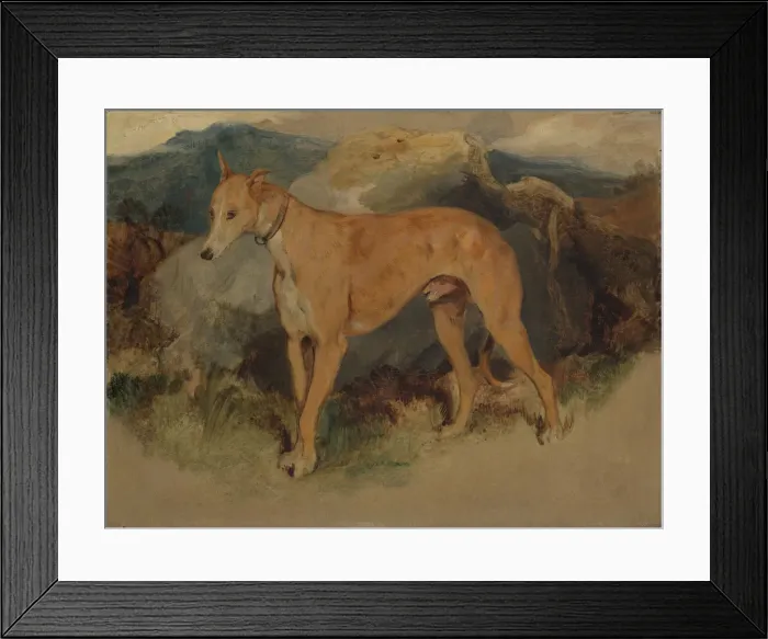 Framed Print : A Deerhound, 1826. Creator: Edwin Henry Landseer Framed Print : A Deerhound, 1826. Creator: Edwin Henry Landseer