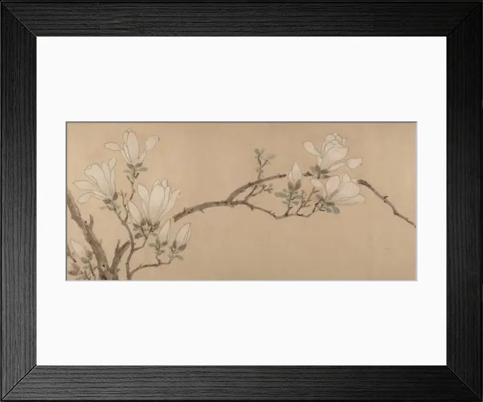Framed Print : Magnolia, dated 1549. Creator: Unknown Framed Print : Magnolia, dated 1549. Creator: Unknown