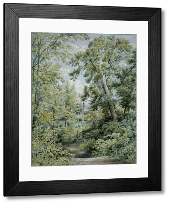 Framed Print : Pleasant Valley, New Jersey, 1858. Creator: William Rickarby Miller