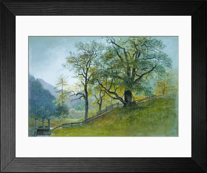 Framed Print : Vahrn in Tyrol near Brixen. Creator: William Stanley Haseltine Framed Print : Vahrn in Tyrol near Brixen. Creator: William Stanley Haseltine