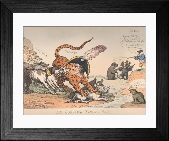 Framed Print : The Corsican Tiger at Bay!, July 8, 1808. July 8, 1808. Creator: Thomas Rowlandson Framed Print : The Corsican Tiger at Bay!, July 8, 1808. July 8, 1808. Creator: Thomas Rowlandson