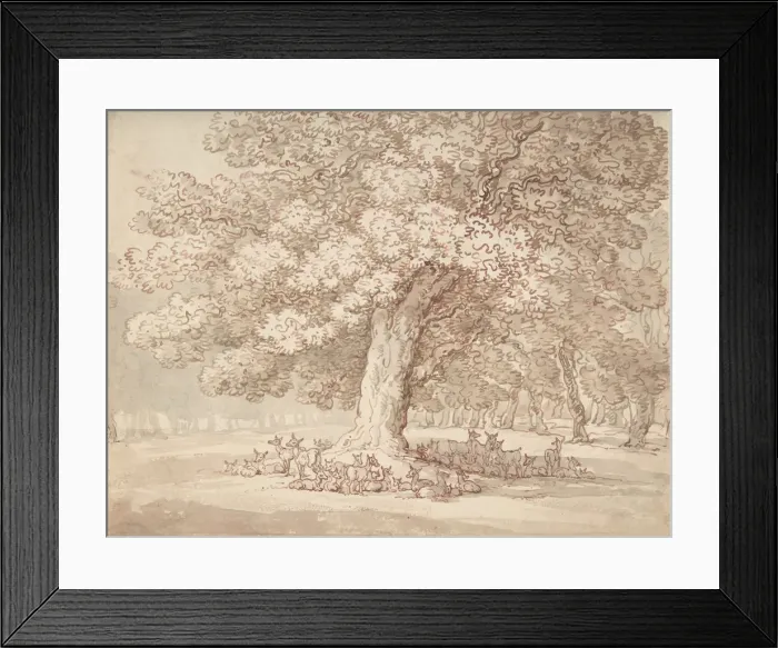 Framed Print : Herd of deer under an oak tree, 1775-1827. Creator: Thomas Rowlandson Framed Print : Herd of deer under an oak tree, 1775-1827. Creator: Thomas Rowlandson