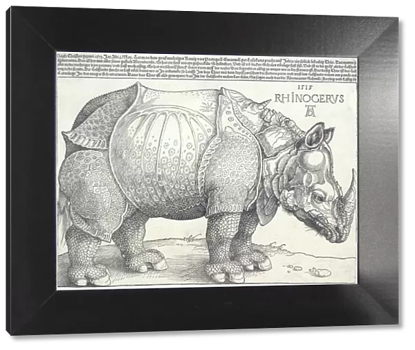 The Rhinoceros, 1515. 1515. Creator: Albrecht Durer
