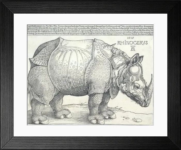 Framed Print : The Rhinoceros, 1515. 1515. Creator: Albrecht Durer Framed Print : The Rhinoceros, 1515. 1515. Creator: Albrecht Durer