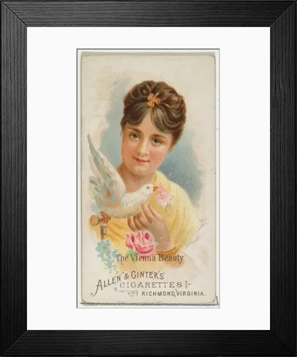 Framed Print : The Vienna Beauty, from Worlds Beauties, Series 1 (N26) for Allen & Framed Print : The Vienna Beauty, from Worlds Beauties, Series 1 (N26) for Allen &