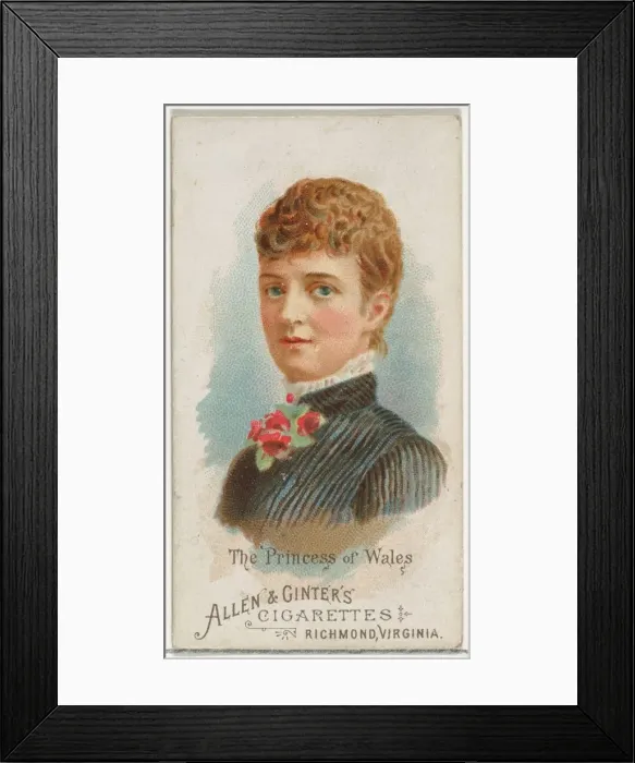 Framed Print : The Princess of Wales, from Worlds Beauties, Series 1 (N26) for Allen & Framed Print : The Princess of Wales, from Worlds Beauties, Series 1 (N26) for Allen &