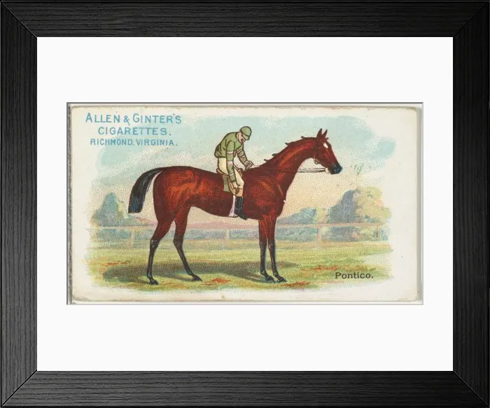 Framed Print : Pontico, from The Worlds Racers series (N32) for Allen & Ginter Cigarettes, 1888 Framed Print : Pontico, from The Worlds Racers series (N32) for Allen & Ginter Cigarettes, 1888