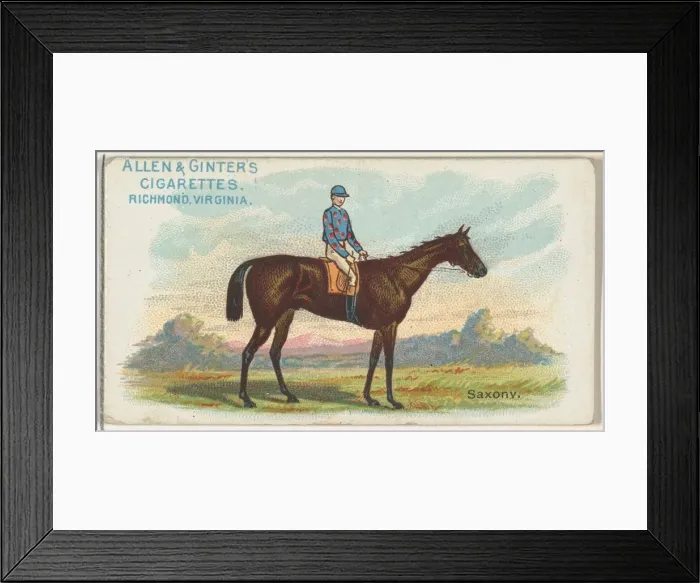 Framed Print : Saxony, from The Worlds Racers series (N32) for Allen & Ginter Cigarettes, 1888 Framed Print : Saxony, from The Worlds Racers series (N32) for Allen & Ginter Cigarettes, 1888
