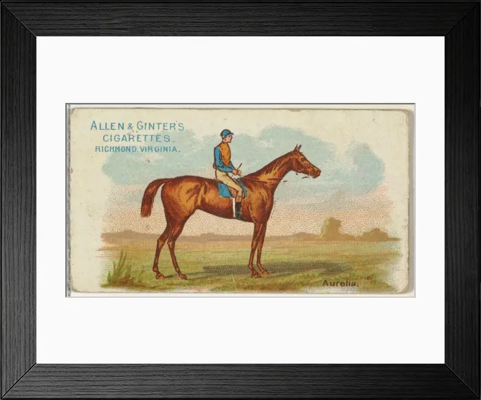 Framed Print : Aurelia, from The Worlds Racers series (N32) for Allen & Ginter Cigarettes, 1888 Framed Print : Aurelia, from The Worlds Racers series (N32) for Allen & Ginter Cigarettes, 1888