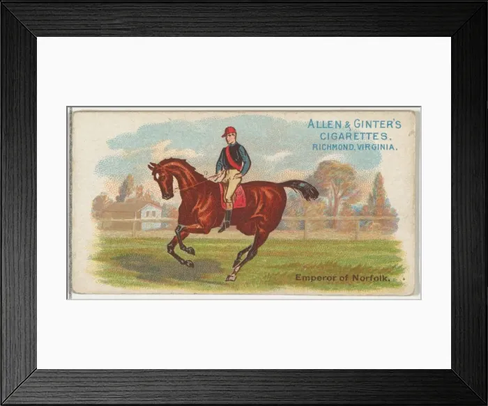 Framed Print : Emperor Norfolk, from The Worlds Racers series (N32) for Allen & Ginter Cigarettes Framed Print : Emperor Norfolk, from The Worlds Racers series (N32) for Allen & Ginter Cigarettes