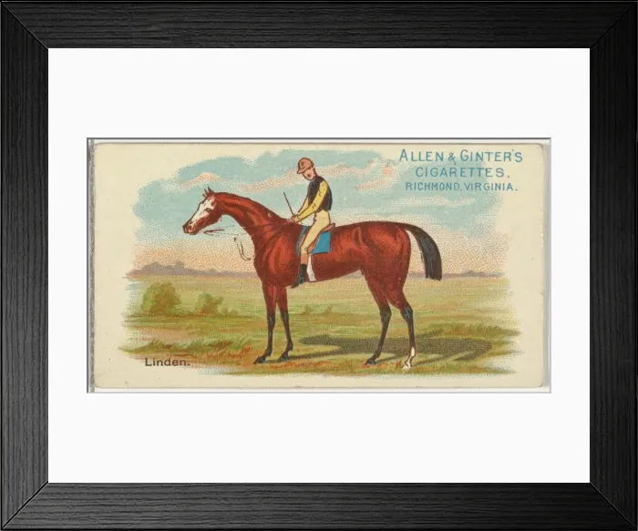 Framed Print : Linden, from The Worlds Racers series (N32) for Allen & Ginter Cigarettes, 1888 Framed Print : Linden, from The Worlds Racers series (N32) for Allen & Ginter Cigarettes, 1888