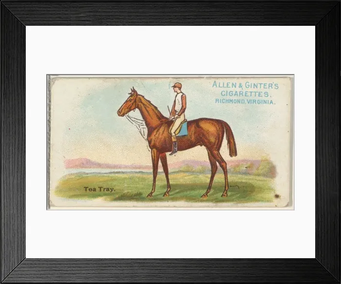 Framed Print : Tea Tray, from The Worlds Racers series (N32) for Allen & Ginter Cigarettes, 1888 Framed Print : Tea Tray, from The Worlds Racers series (N32) for Allen & Ginter Cigarettes, 1888