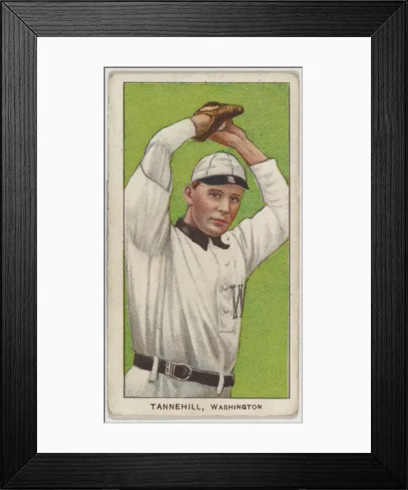 Framed Print : Tannehill, Washington, American League, from the White Border series (T206) for the Ame Framed Print : Tannehill, Washington, American League, from the White Border series (T206) for the Ame