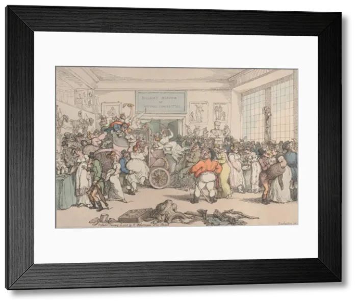 Framed Print : Exhibition at Bullocks Museum of Bonapartes Carriage, Taken at Waterloo, Jan Framed Print : Exhibition at Bullocks Museum of Bonapartes Carriage, Taken at Waterloo, Jan