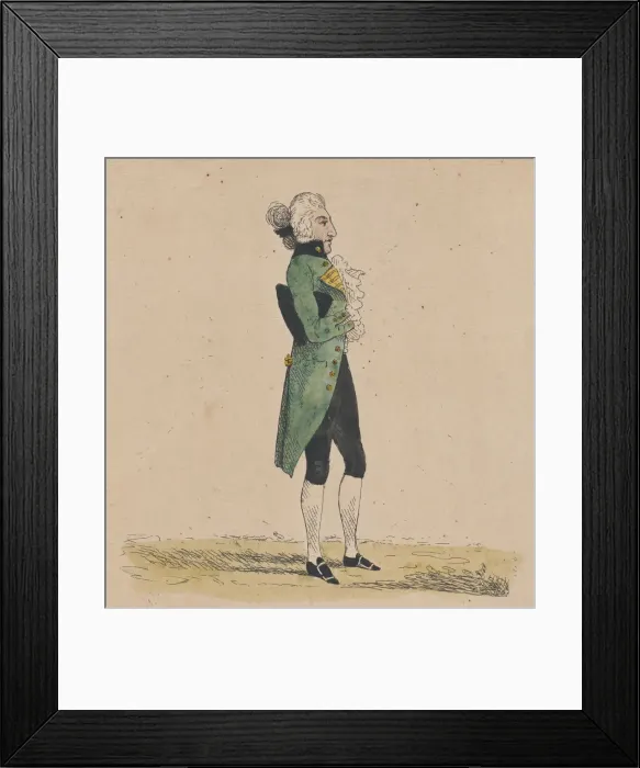 Framed Print : A New Insect, May 12, 1784. May 12, 1784. Creator: Thomas Rowlandson Framed Print : A New Insect, May 12, 1784. May 12, 1784. Creator: Thomas Rowlandson