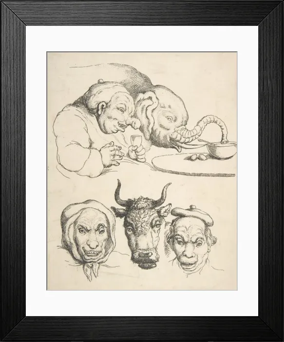 Framed Print : Comparative Anatomy, 1800-25. 1800-25. Creator: Thomas Rowlandson Framed Print : Comparative Anatomy, 1800-25. 1800-25. Creator: Thomas Rowlandson