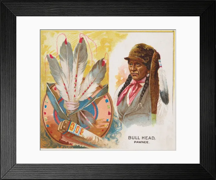 Framed Print : Bull Head, Pawnee, from the American Indian Chiefs series (N36) for Allen & Framed Print : Bull Head, Pawnee, from the American Indian Chiefs series (N36) for Allen &