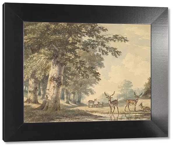 Deer under Beech Trees in Winter, 1853. Creator: Hendrik Gerrit ten Cate