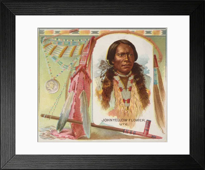 Framed Print : John Yellow Flower, Ute, from the American Indian Chiefs series (N36) for Allen & Framed Print : John Yellow Flower, Ute, from the American Indian Chiefs series (N36) for Allen &