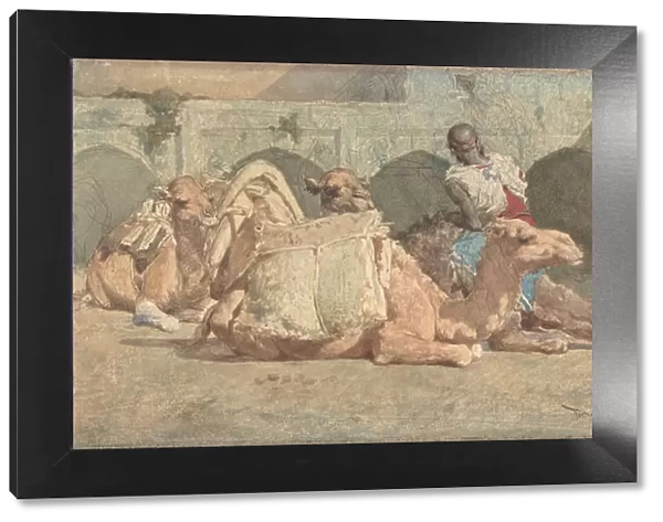 Camels Reposing, Tangiers, ca. 1854-74. Creator: Mariano Jose Maria Bernardo Fortuny y