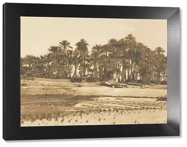 Vue de l ile d Elephantine, en face d Assouan, 1849-50. Creator: Maxime du Camp