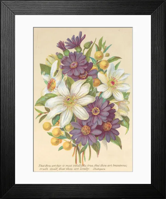 Framed Print : Valentine, 1876. Creator: Anon Framed Print : Valentine, 1876. Creator: Anon
