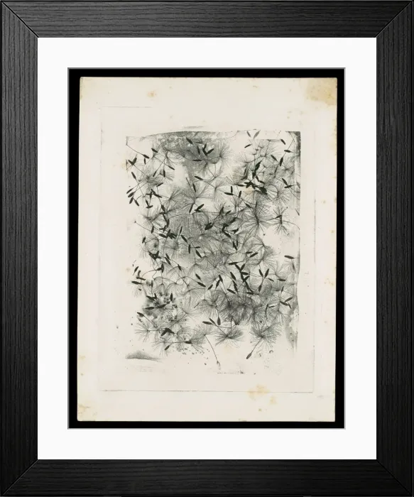 Framed Print : [Dandelion Seeds], 1858 or later. Creator: William Henry Fox Talbot