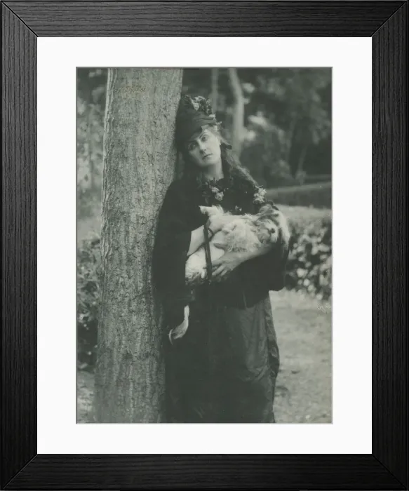 Framed Print : Les Chiens, 1860s. Creator: Pierre-Louis Pierson Framed Print : Les Chiens, 1860s. Creator: Pierre-Louis Pierson
