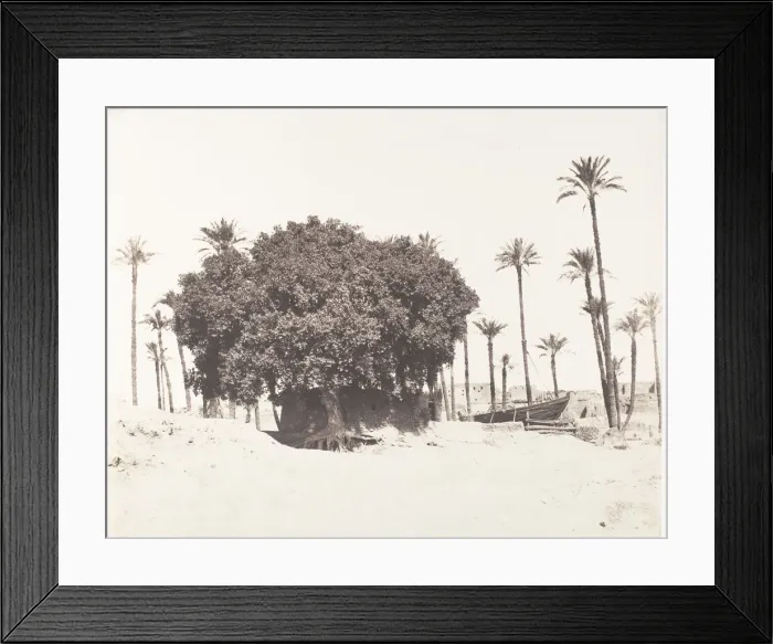 Framed Print : Esneh, Dattiers, Sycomore et Cafe Sur le Bord du Nil, 1851-52, printed 1853-54 Framed Print : Esneh, Dattiers, Sycomore et Cafe Sur le Bord du Nil, 1851-52, printed 1853-54