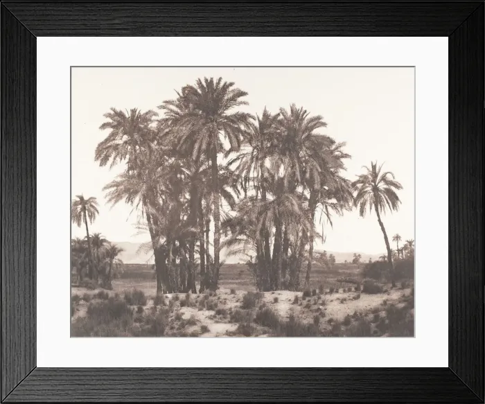 Framed Print : Karnak, Groupe de Dattiers Vu du Point A, 1851-52, printed 1853-54 Framed Print : Karnak, Groupe de Dattiers Vu du Point A, 1851-52, printed 1853-54