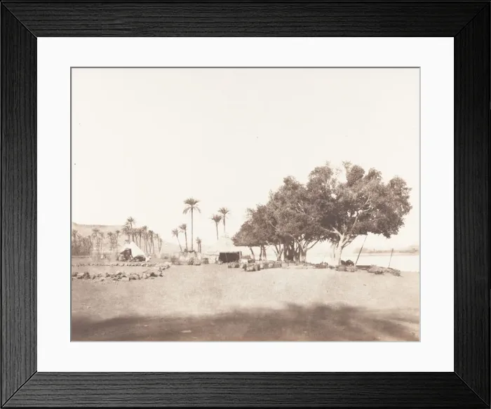 Framed Print : Korosko, Sycomores et Campement d une Caravane pour le Sennar, 1851-52 Framed Print : Korosko, Sycomores et Campement d une Caravane pour le Sennar, 1851-52