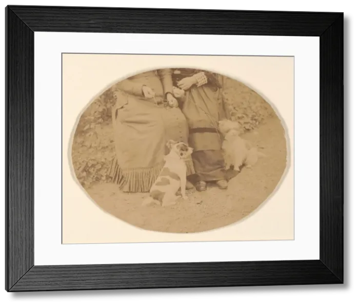 Framed Print : Les Chiens, 1860s. Creator: Pierre-Louis Pierson Framed Print : Les Chiens, 1860s. Creator: Pierre-Louis Pierson