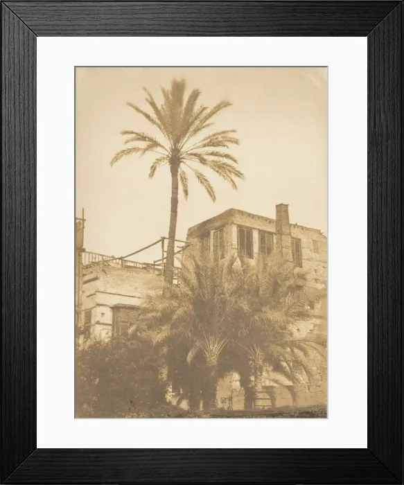 Framed Print : Dattiers et Maison du quartier Franc, au Kaire, December 1849-January 1850 Framed Print : Dattiers et Maison du quartier Franc, au Kaire, December 1849-January 1850