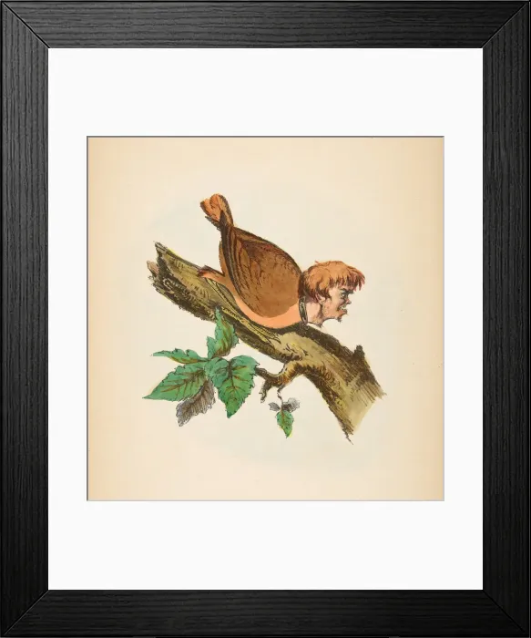 Framed Print : Jail Bird, from The Comic Natural History of the Human Race, 1851 Framed Print : Jail Bird, from The Comic Natural History of the Human Race, 1851