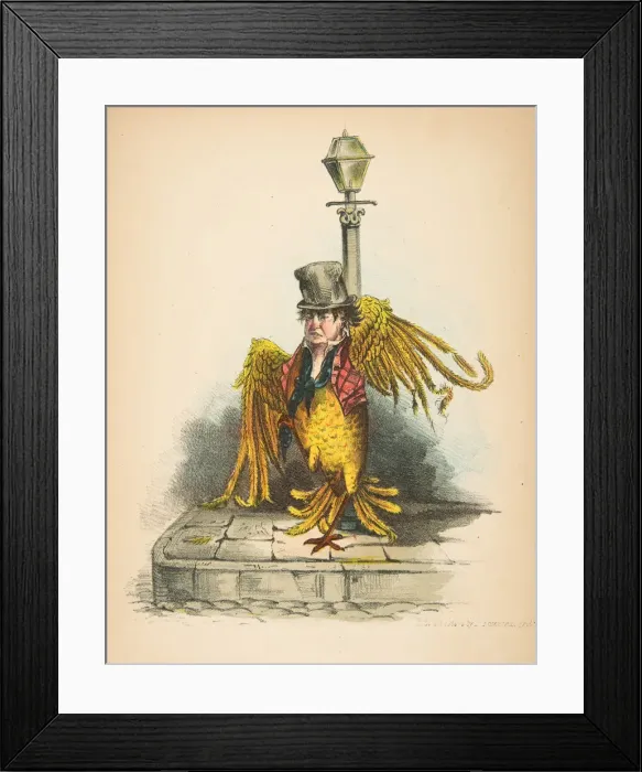 Framed Print : Lark, from The Comic Natural History of the Human Race, 1851 Framed Print : Lark, from The Comic Natural History of the Human Race, 1851