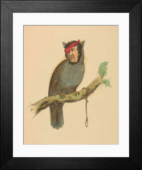 Framed Print : Gallows Bird, from The Comic Natural History of the Human Race, 1851 Framed Print : Gallows Bird, from The Comic Natural History of the Human Race, 1851