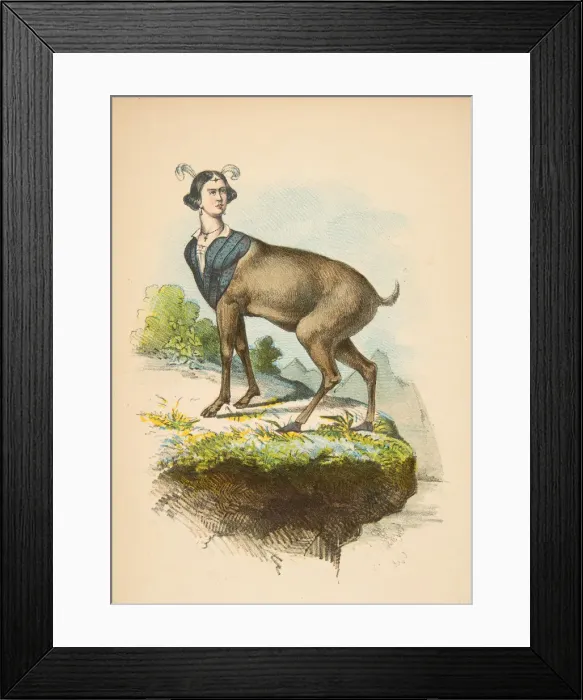 Framed Print : Little Dear, from The Comic Natural History of the Human Race, 1851 Framed Print : Little Dear, from The Comic Natural History of the Human Race, 1851