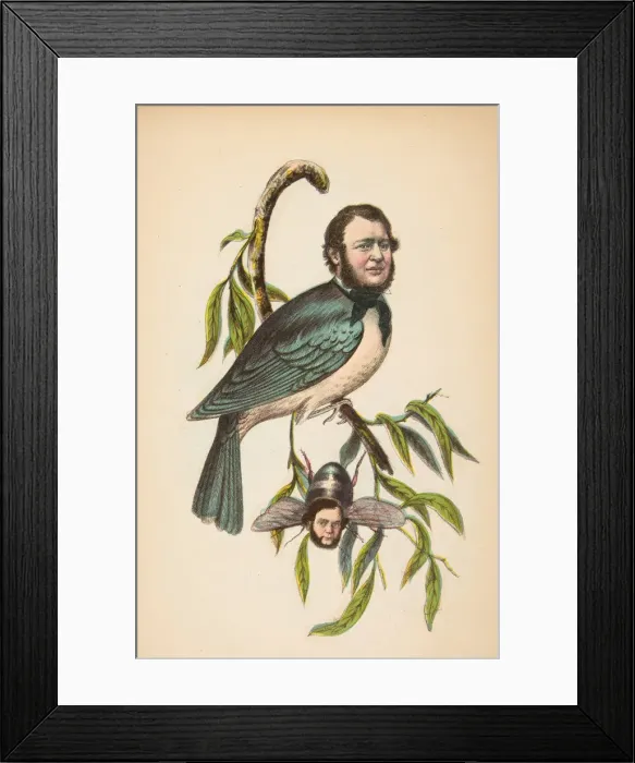 Framed Print : King Bird (Robert P. King and Alexander Baird), from The Comic Natural History of