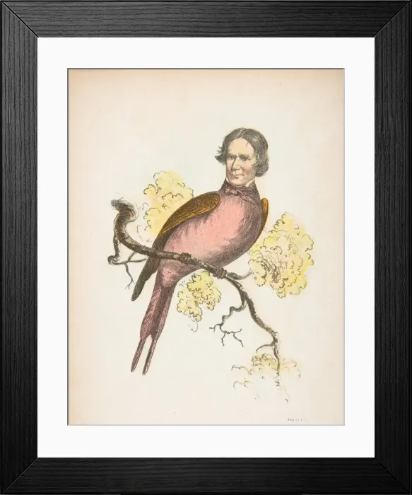 Framed Print : Sun Bird (James S. Wallace), from The Comic Natural History of the Human Race, 1851 Framed Print : Sun Bird (James S. Wallace), from The Comic Natural History of the Human Race, 1851