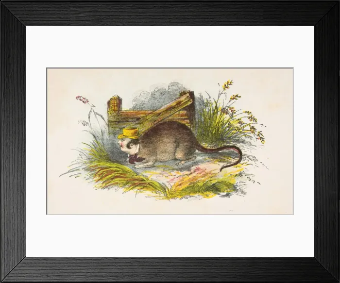 Framed Print : One of the Rats, from The Comic Natural History of the Human Race, 1851 Framed Print : One of the Rats, from The Comic Natural History of the Human Race, 1851