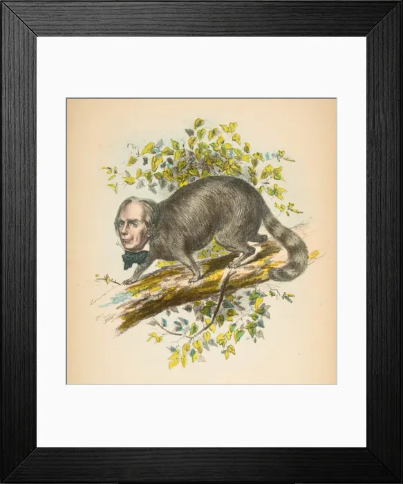 Framed Print : Same Old Coon (Henry Clay), from The Comic Natural History of the Human Race, 1851 Framed Print : Same Old Coon (Henry Clay), from The Comic Natural History of the Human Race, 1851
