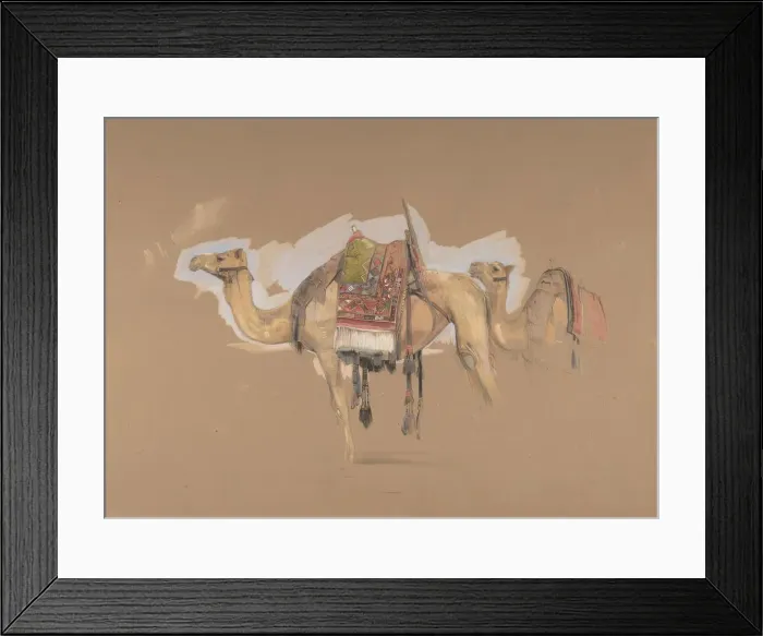 Framed Print : Two Camels, ca. 1843. Creator: John Frederick Lewis