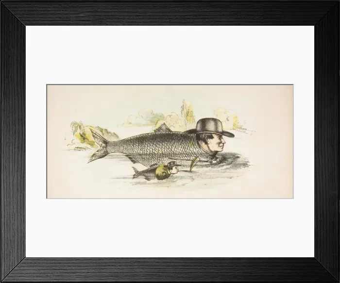 Framed Print : Old Shad & Young, from The Comic Natural History of the Human Race, 1851 Framed Print : Old Shad & Young, from The Comic Natural History of the Human Race, 1851