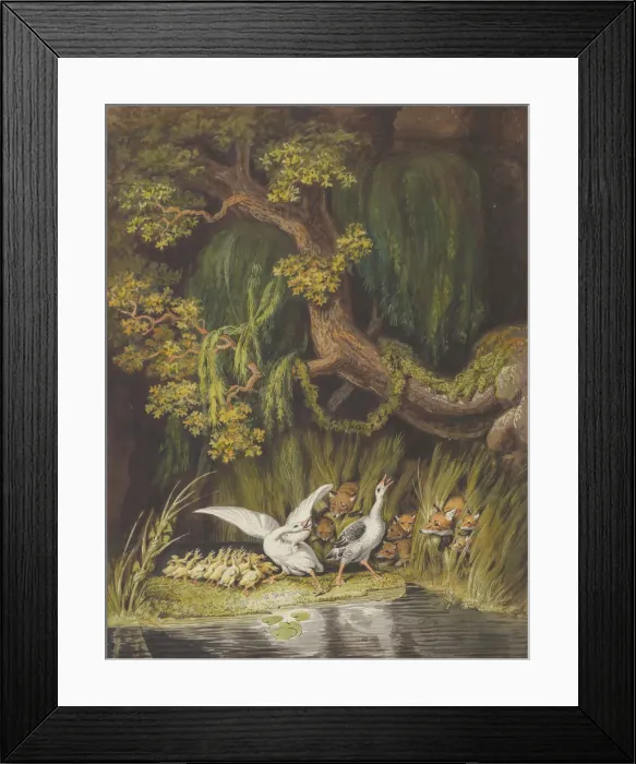 Framed Print : A Goose and a Gander with their Goslings Honking in Alarm as Two Foxes Framed Print : A Goose and a Gander with their Goslings Honking in Alarm as Two Foxes